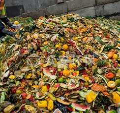 餐厨垃圾撕碎机