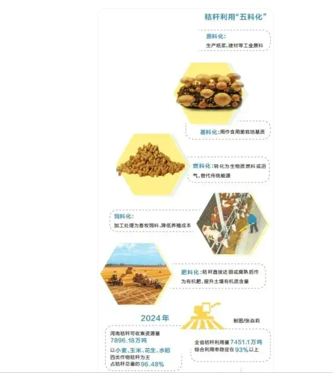 秸秆利用五料化.png