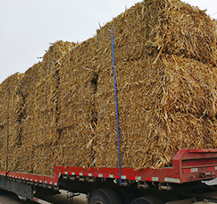 袋式脉冲除尘器