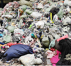 双轴剪切破碎机