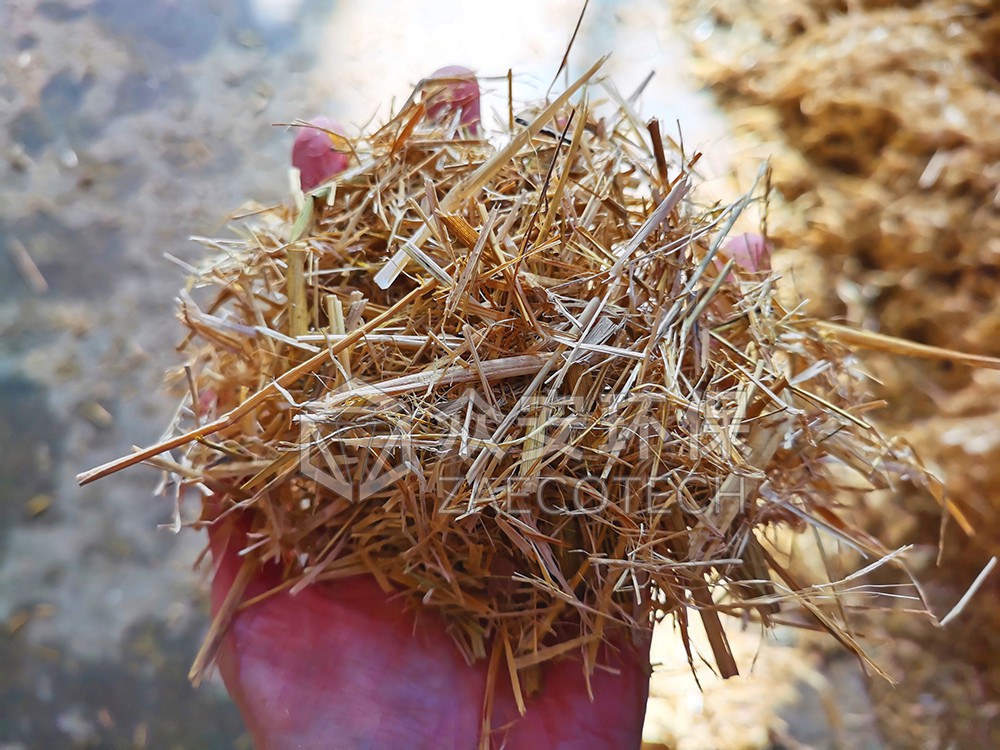 生物质玉米秸秆.jpg