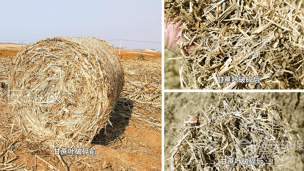 秸秆撕碎机破碎前后物料对比,农林废弃物预处理效果