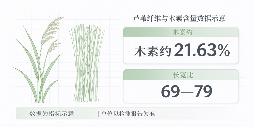 破碎芦苇为什么总缠轴？普通综合破碎机和专用芦苇撕碎机的差别不在“刀快不快”